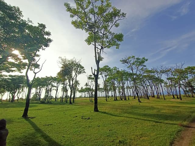 Jogging track, Volley Beach & Sunrise Walk